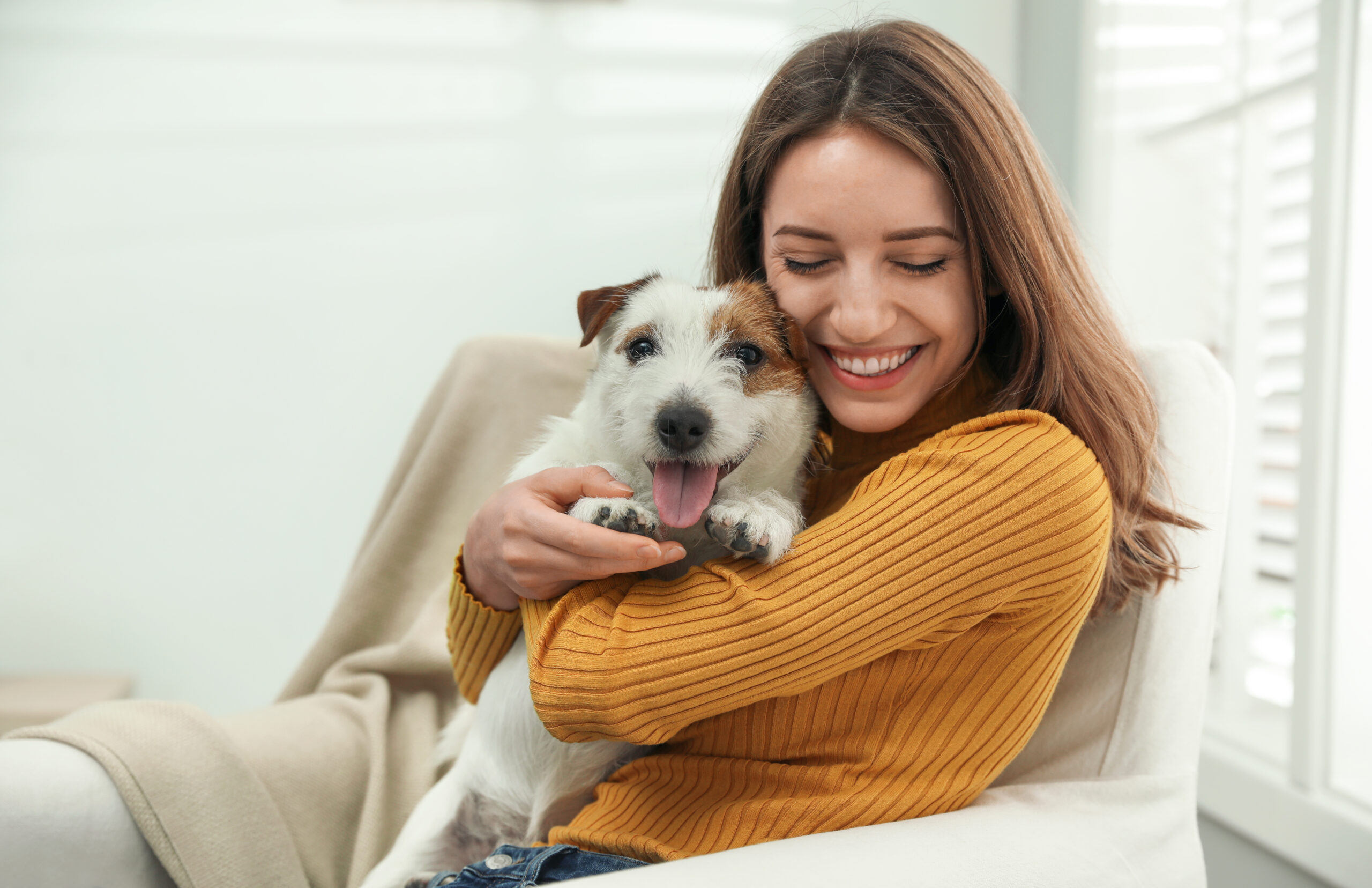 Young,Woman,With,Her,Cute,Jack,Russell,Terrier,At,Home.