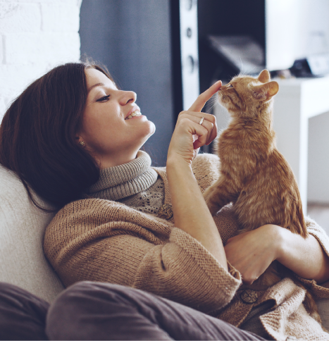 shutterstock_325858112_Cropped